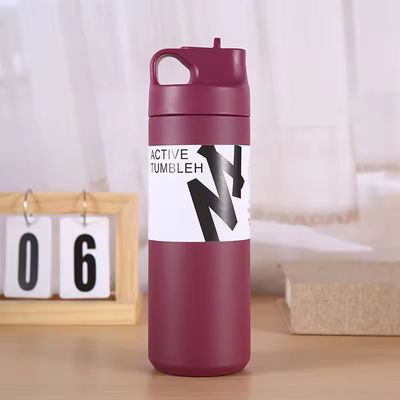 550ml タンブラー 持続可能 ダブル ウォール 隔離 掃除 瓶 茶 水 コーヒー