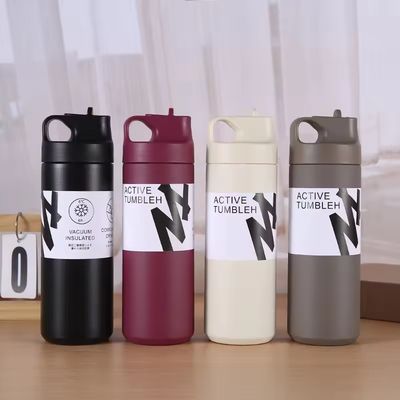 550ml タンブラー 持続可能 ダブル ウォール 隔離 掃除 瓶 茶 水 コーヒー