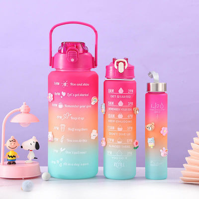 カスタマイズされたロゴ 3 In 1セット ボトル 250g 120g 63g スタイルのトマトドス プラスチック水瓶
